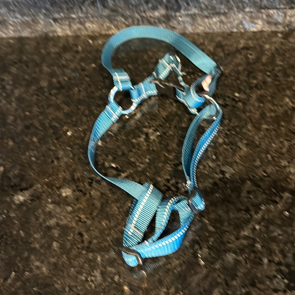 RC pets small pet halter! New, never used!